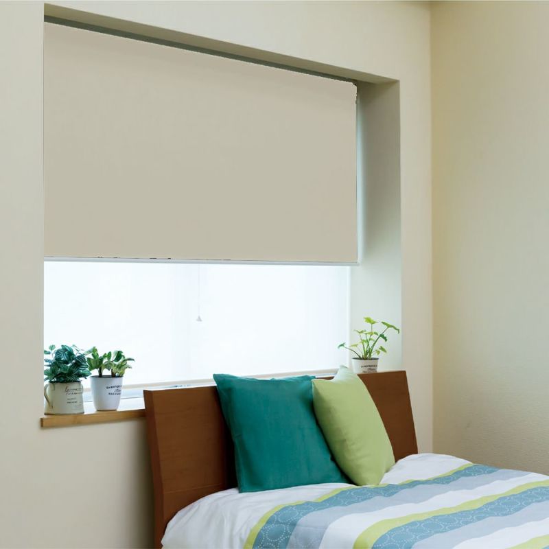 000000000161-02-l.jpg?t=